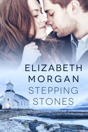 Cover of the book Stepping Stones by Amie Louellen, Amy Lillard