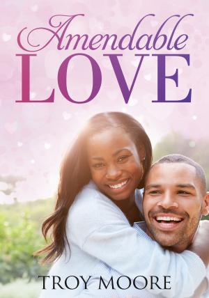 Cover of the book Amendable Love by Casey Odell