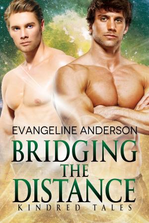 Cover of the book Bridging the Distance by Desiree Broussard