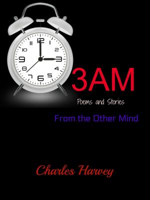 Cover of 3AM: Poems and Stories From the Other Mind by Charles Harvey, Wes Writers & Publishers