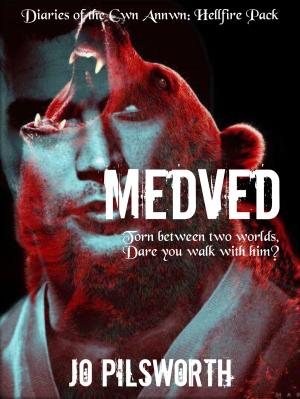 Cover of the book Medved: Diaries of the Cwn Annwn Vol 8 by Michelle Birbeck