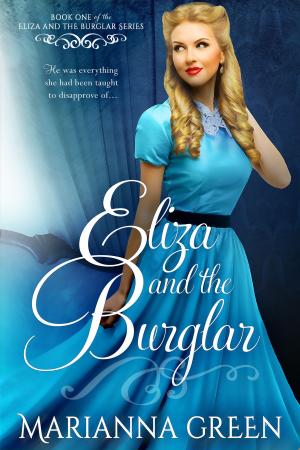 Cover of the book Eliza and the Burglar by Robert Karbiner, Florian Kobler