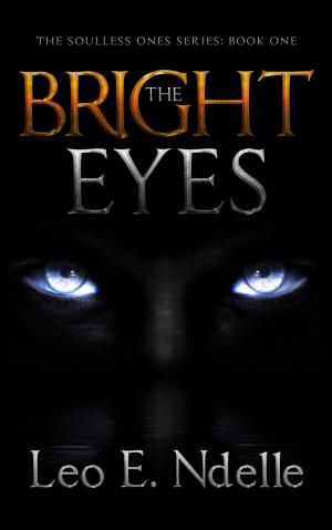 Cover of the book The Bright Eyes by Laurel Lamperd