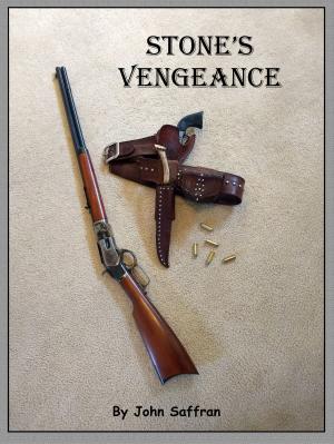 Cover of the book Stone's Vengeance by Diane Carey