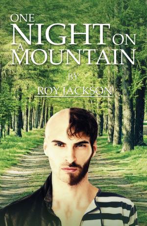 Cover of the book One Night On A Mountain by G V Loewen