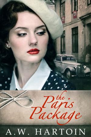 Cover of the book The Paris Package by A.W. Hartoin