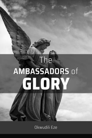 bigCover of the book The Ambassadors of Glory by 