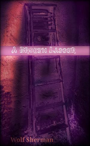 Cover of A Broken Ladder