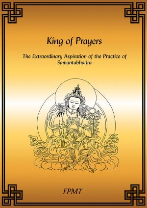 Cover of the book King of Prayers eBook by Daniel Odier