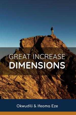 Cover of the book Great Increase Dimension by Ifeoma Eze