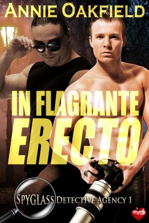 Cover of the book In Flagrante Erecto by Kryssie Fortune