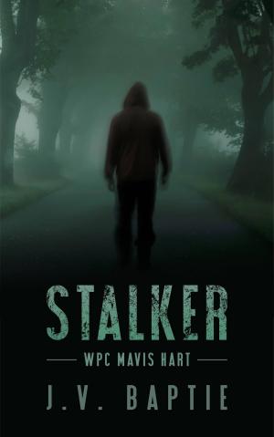Cover of the book Stalker by Joni McLachlan
