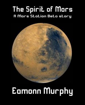 Cover of the book The Spirit of Mars by TS Thornton