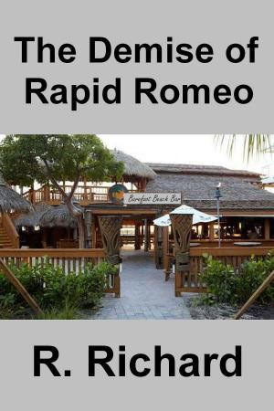 Book cover of The Demise of Rapid Romeo