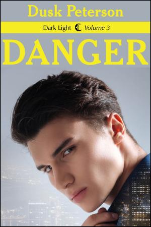 Cover of the book Danger (Dark Light, Volume 3) by Peter Morris