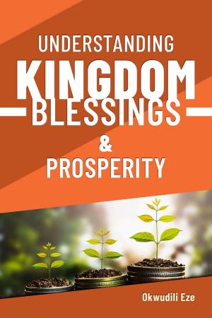Cover of the book Understanding Kingdom Blessings and Prosperity by Jürgen Leykamm