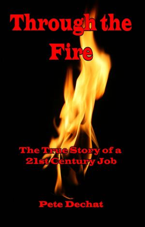 Cover of the book Through the Fire: The True Story of a 21st Century Job by Mary Capps