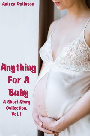 Cover of the book Anything for a Baby, A Short Story Collection, Vol. 1 by Anissa Palleson