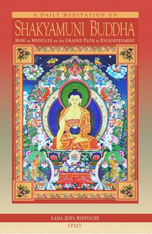 Cover of the book A Daily Meditation on Shakyamuni Buddha eBook by 張宏實