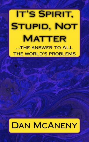 Cover of the book It’s SPIRIT, Stupid, NOT Matter: The Answer to ALL the World’s Problems by Vera Peiffer