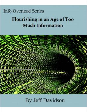 Book cover of Flourishing in an Age of Too Much Information