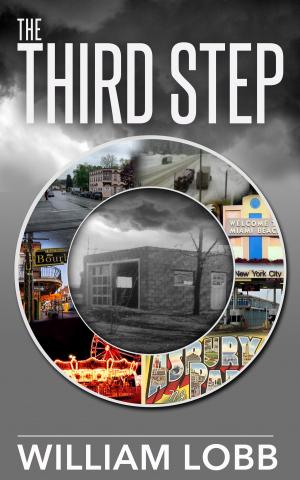 Cover of the book The Third Step by Laura Dillmann