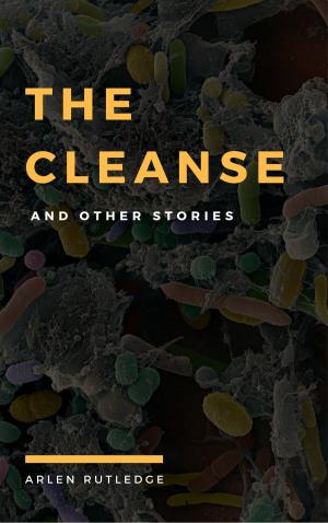 Cover of the book The Cleanse & other stories by Robert Bowker