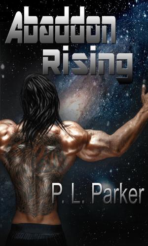 Cover of the book Deg’Nara Book Three: Abaddon Rising by Kaitlyn O'Connor