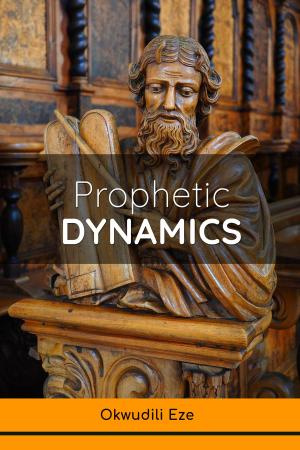 Cover of the book Prophetic Dynamics by Okwudili Eze