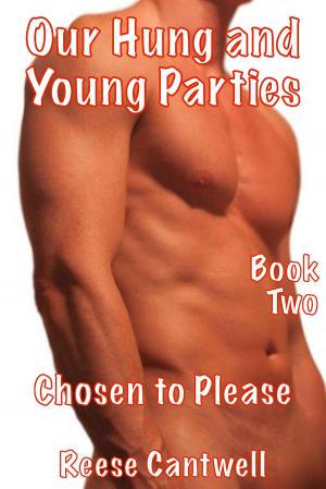 Book cover of Our Hung and Young Parties: Book Two: Chosen to Please