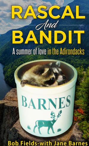 Book cover of Rascal and Bandit
