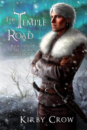 Cover of the book The Temple Road by Kell Inkston