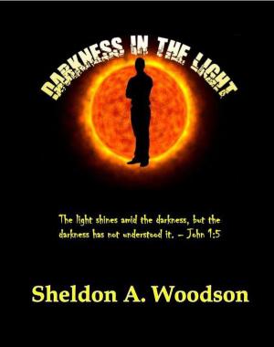 Cover of Darkness In The Light