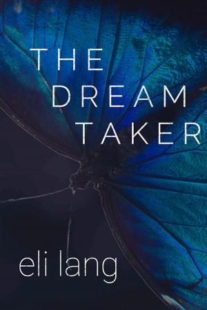 Cover of the book The Dream Taker by Alyce Caswell