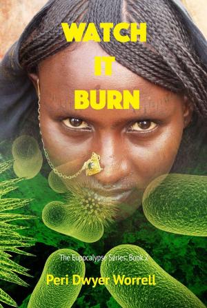 Cover of the book Watch It Burn by Tyffani Clark Kemp