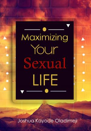Book cover of Maximizing Your Sexual Life