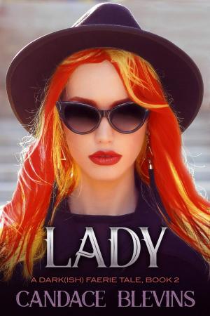 Cover of the book Lady by Amy Difar