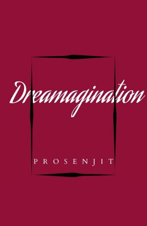 Cover of the book Dreamagination by Lick Darsey