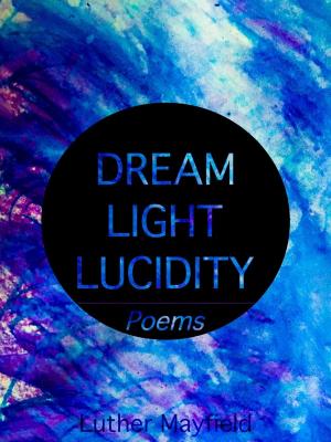 Book cover of Dreamlight Lucidity