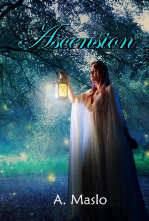 Cover of the book Ascension by Steve Merrick