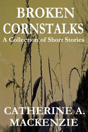 Cover of the book Broken Cornstalks by Hannah Birss