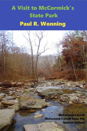 Cover of the book A Visit to McCormick’s State Park by Paul R. Wonning