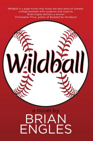 Cover of the book Wildball by Jackie Smith