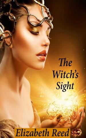 Cover of the book The Witch’s Sight by Elizabeth Reed