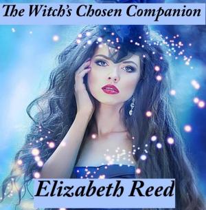 Cover of the book The Witch’s Chosen Companion by Anna del C. Dye
