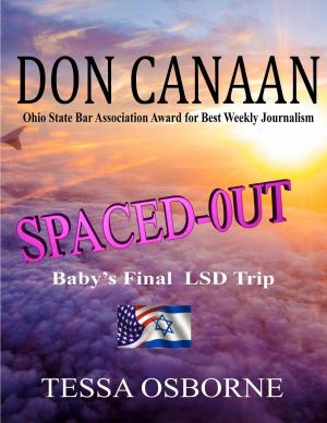 Cover of the book Spaced-Out: Baby's Final LSD Trip by Jenna Brandt