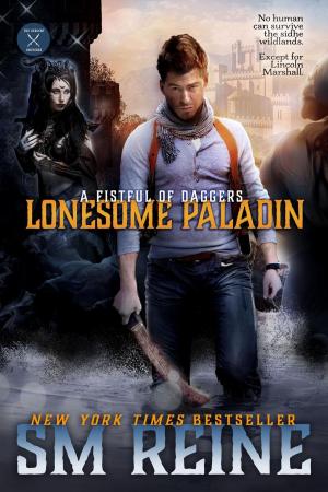 Cover of the book Lonesome Paladin by SM Reine