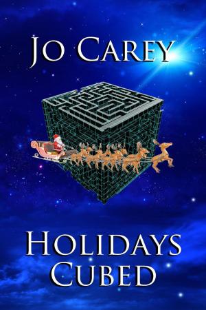 Cover of the book Holidays Cubed by nikki broadwell