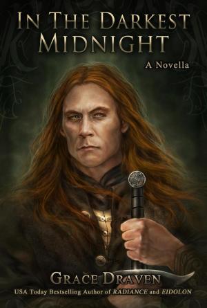 Cover of the book In The Darkest Midnight by J.L. Stephens