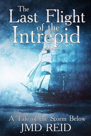 Cover of the book The Last Flight of the Intrepid (A Tale of the Storm Below) by Melissa Myers
